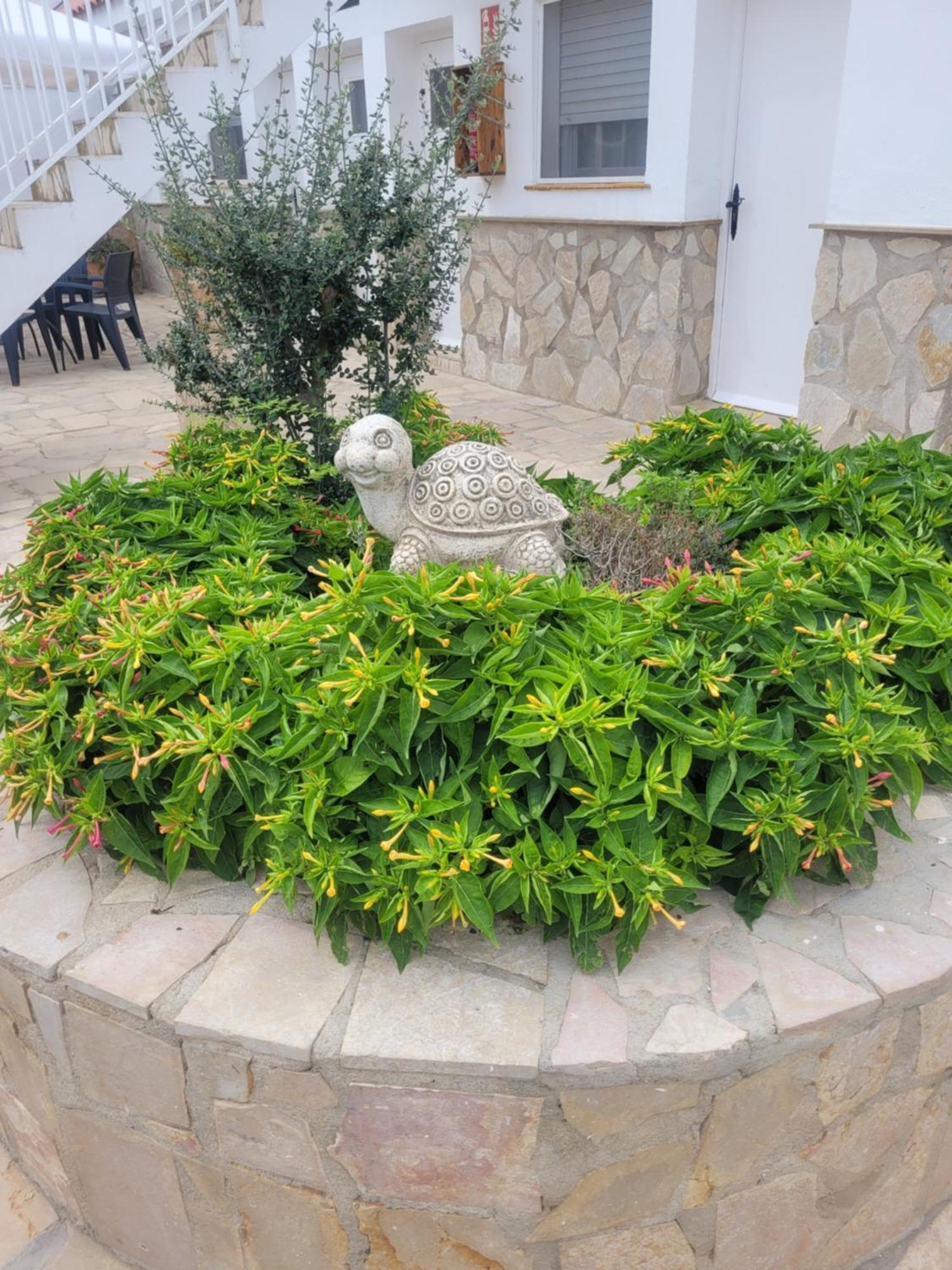 La Llar De Laura Guest House Ел Побленоу дел Делта Екстериор снимка